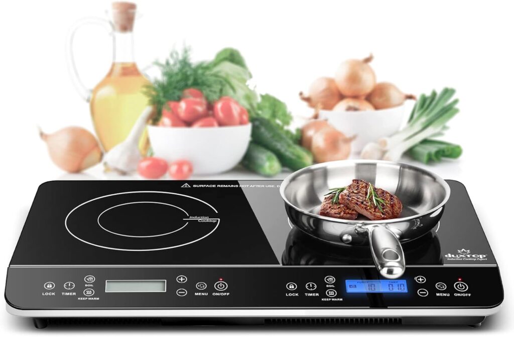 best portable electric burners, portable stove top, compact camping stove, best portable camping stove, counter top burner, best portable induction hob
