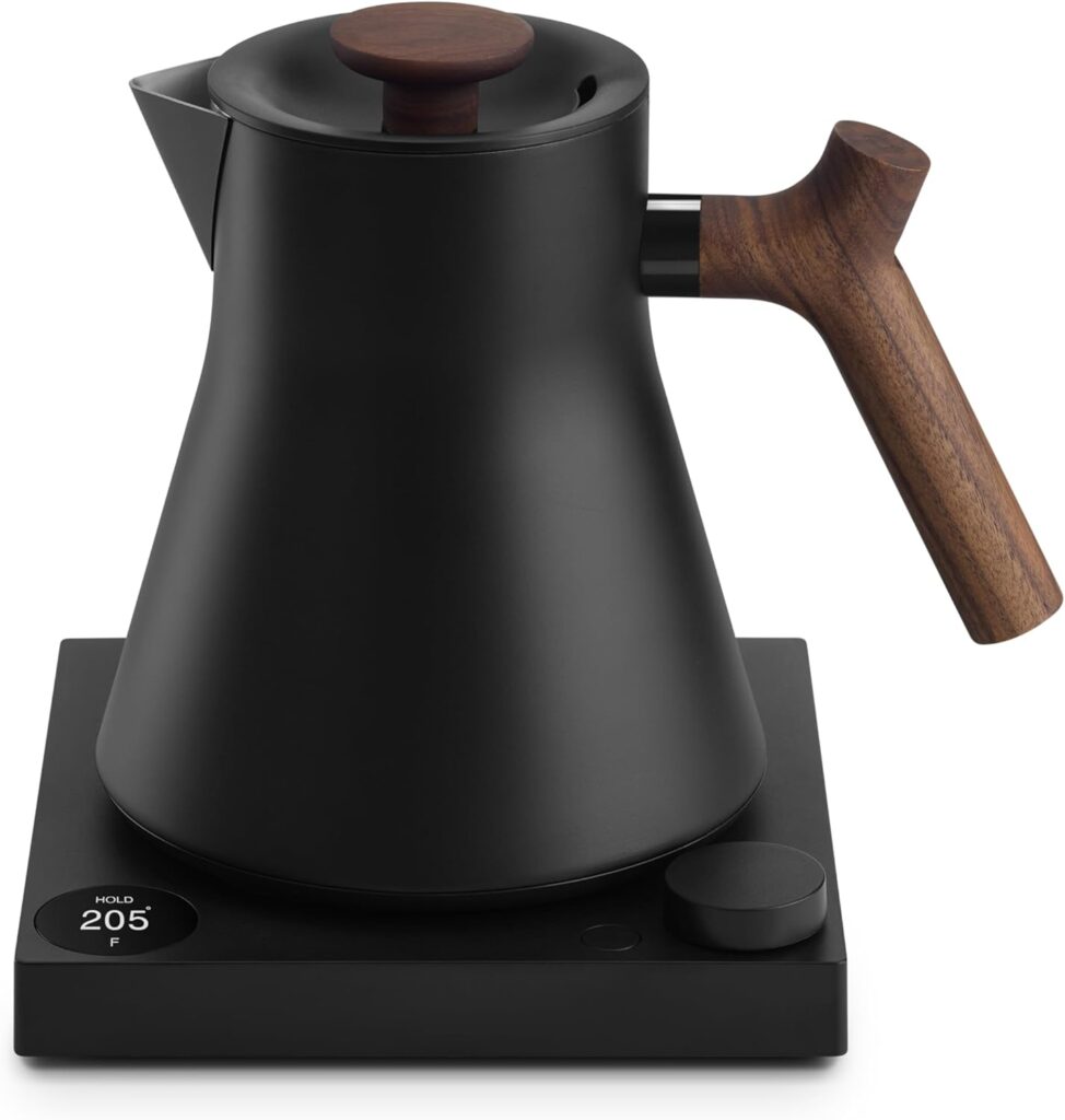 Best Electric Kettles, best water kettle, best hot water kettle, best electric kettle with temperature control, best travel kettle, best water boiler